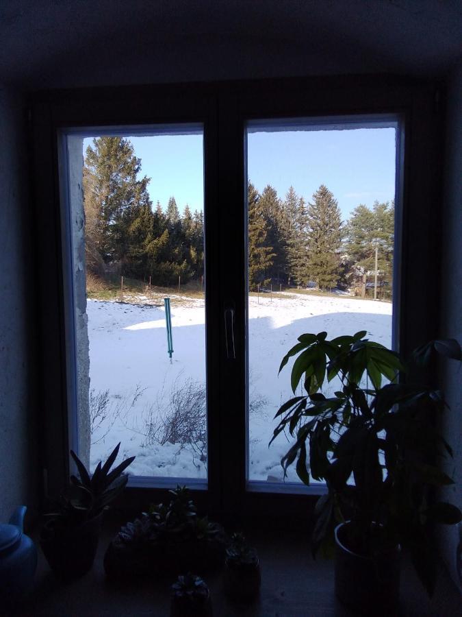 Monteur-Ferienwohnung Ot Naundorf Naundorf  ภายนอก รูปภาพ